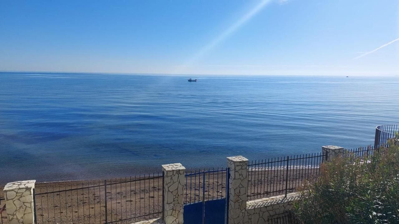 Blue Life, Sea-Luxury Rooms On The Beach Between Palermo And Cefalu' Кастельдачча Экстерьер фото